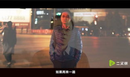 鸟哥视频,揭秘鸟类世界的奥秘与魅力